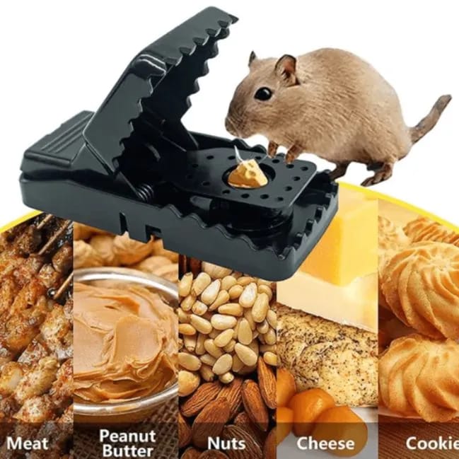 Reusable Mouse Traps