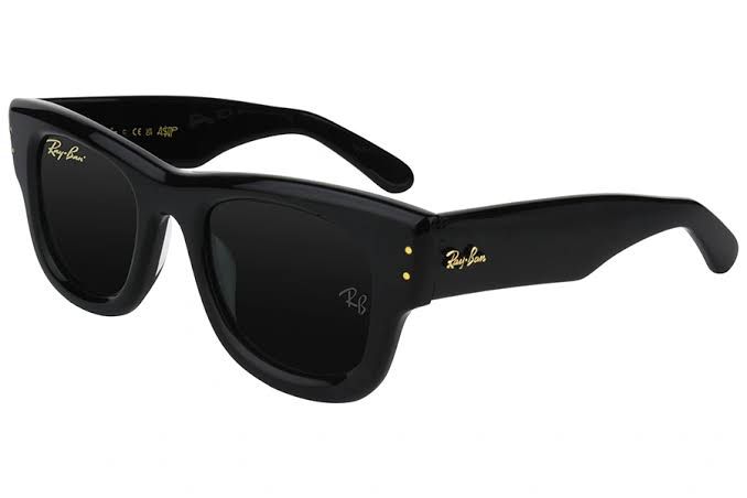 Ray-Ban Sunglasses Wayfarer Puffer